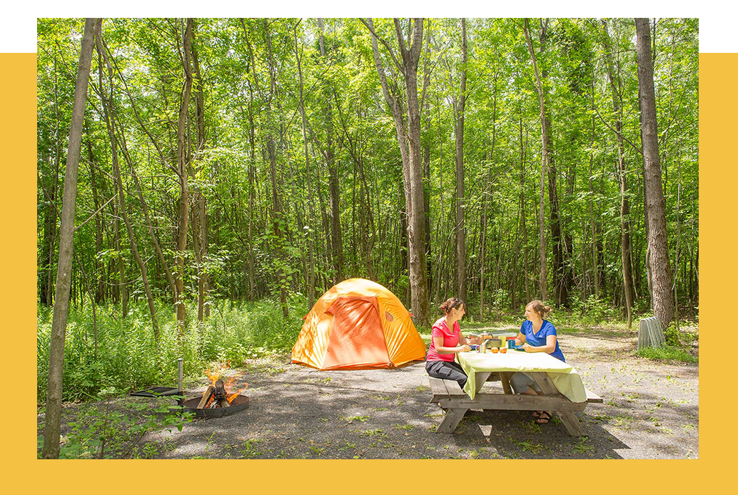 Photo terrain sans service